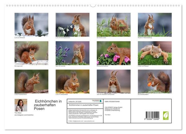 Produktbild: Eichh&ouml;rnchen in zauberhaften Posen (hochwertiger Premium Wandkalender 2027 DIN A2 quer), Kunstdruck in Hochglanz