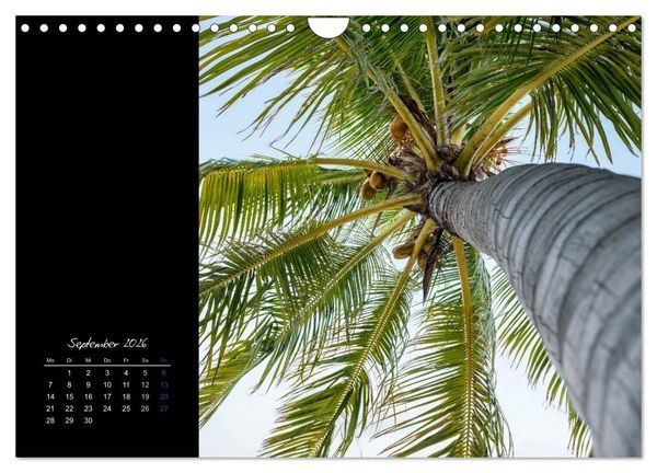 Produktbild: Malediven - dem Himmel so nah (Wandkalender 2026 DIN A4 quer), CALVENDO Monatskalender