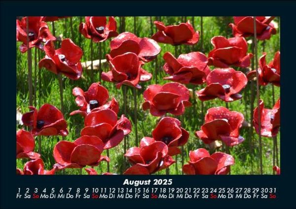 Produktbild: Pflanzen und Bl&uuml;ten 2025 Fotokalender DIN A5