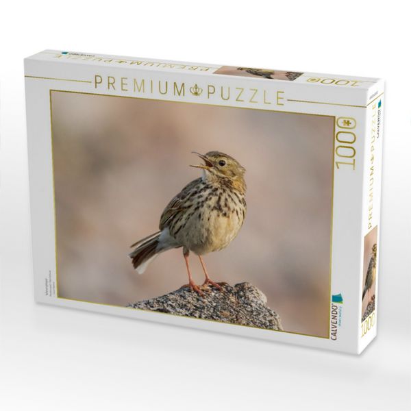 Produktbild: CALVENDO Puzzle Wiesenpieper | 1000 Teile Lege-Gr&ouml;&szlig;e 64x48cm Foto-Puzzle f&uuml;r gl&uuml;ckliche Stunden