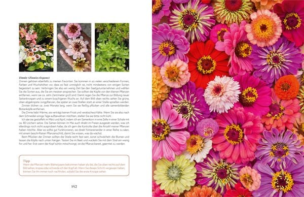 Produktbild: Flowers
