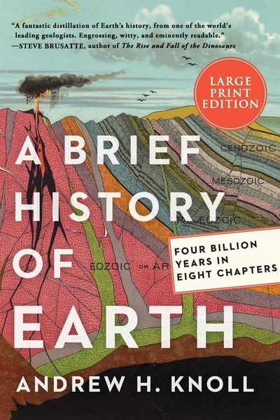 Produktbild: Brief History of Earth LP, A