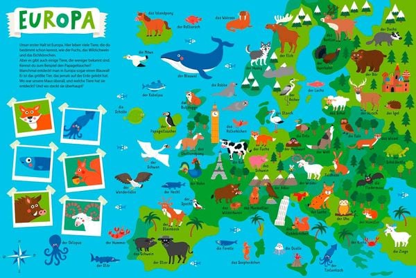 Mein kunterbunter Tieratlas