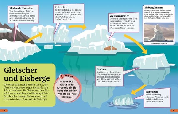 Produktbild: Superchecker! Arktis und Antarktis