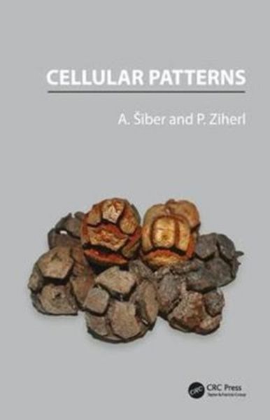 Produktbild: Siber, A: Cellular Patterns