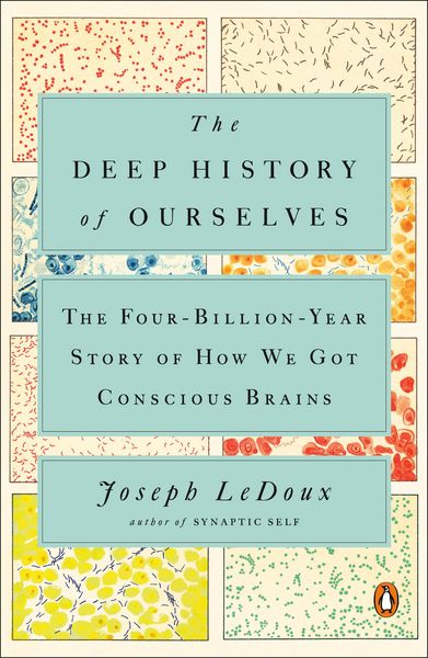 Produktbild: The Deep History of Ourselves