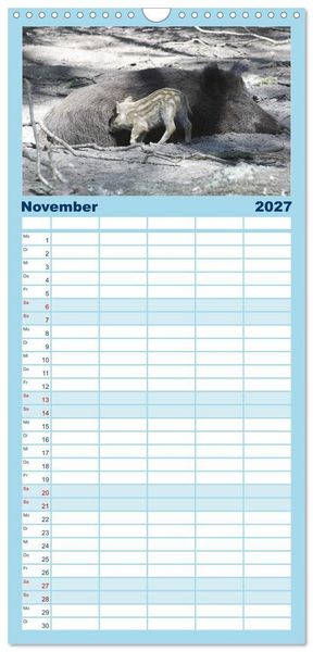 Produktbild: Familienplaner 2027 - Tierische Schweinerei mit 5 Spalten (Wandkalender, 21 x 45 cm) CALVENDO