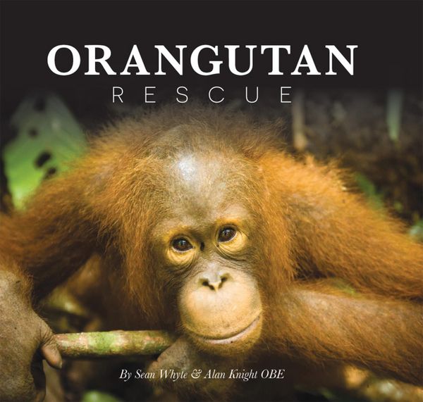 Produktbild: Orangutan Rescue