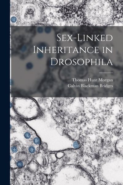 Produktbild: Sex-Linked Inheritance in Drosophila