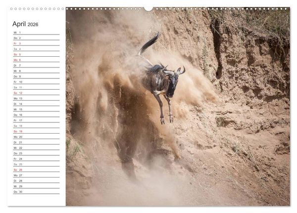 Produktbild: Emotionale Momente: Mein wildes Afrika (Wandkalender 2026 DIN A2 quer), CALVENDO Monatskalender