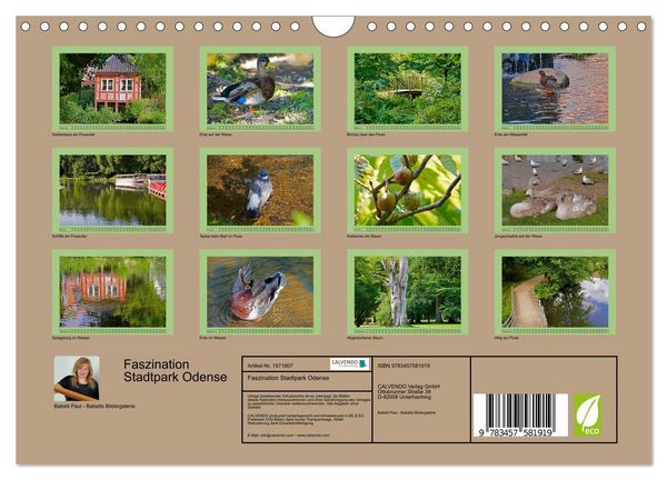 Produktbild: Faszination Stadtpark Odense (Wandkalender 2026 DIN A4 quer), CALVENDO Monatskalender