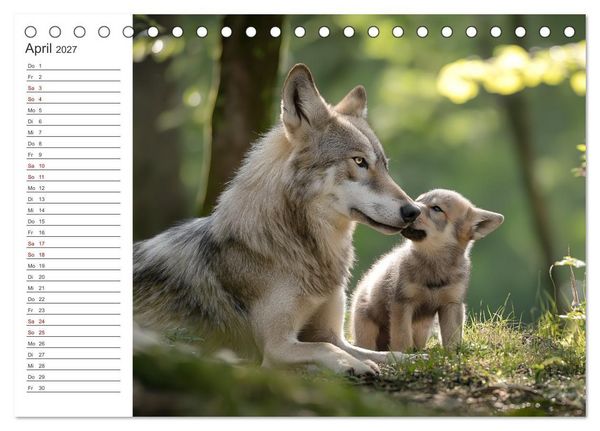 Produktbild: Die Seele der Wildnis (Tischkalender 2027 DIN A5 quer), CALVENDO Monatskalender