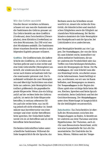 Produktbild: Schlaganfall - Das &Uuml;bungsbuch