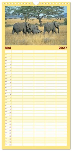 Produktbild: Familienplaner 2027 - Elefanten in der Serengeti mit 5 Spalten (Wandkalender, 21 x 45 cm) CALVENDO