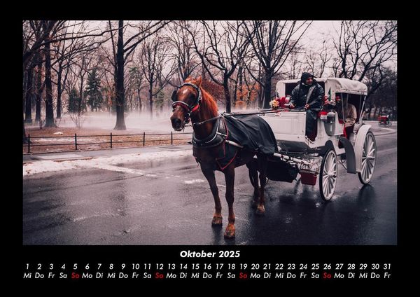 Produktbild: New York 2025 Fotokalender DIN A3