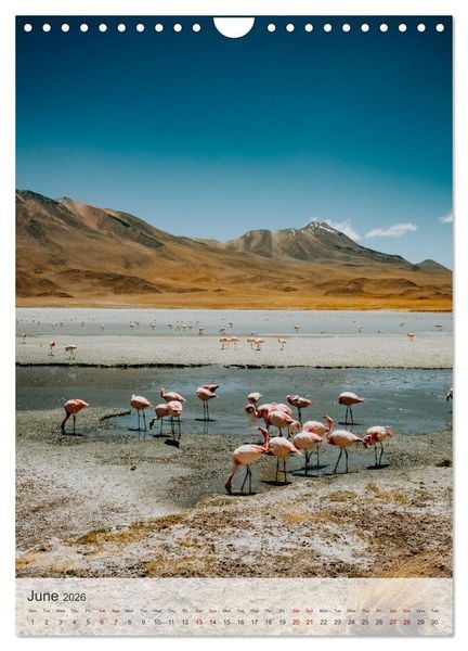 Produktbild: Longing for Travel (Wall Calendar 2026 DIN A4 portrait), CALVENDO 12 Month Wall Calendar