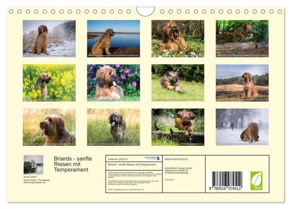 Produktbild: Briards - sanfte Riesen mit Temperament (Wandkalender 2026 DIN A4 quer), CALVENDO Monatskalender