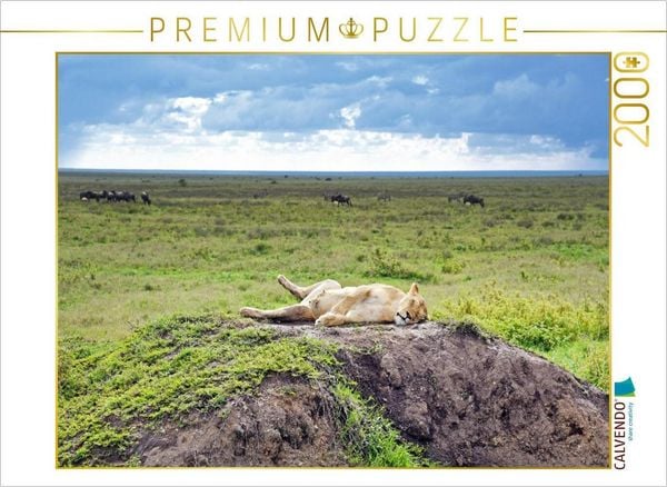 CALVENDO Puzzle Löwin | 2000 Teile Lege-Größe 90x67cm Foto-Puzzle für glückliche Stunden