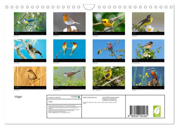 Produktbild: V&ouml;gel (Wandkalender 2026 DIN A4 quer), CALVENDO Monatskalender