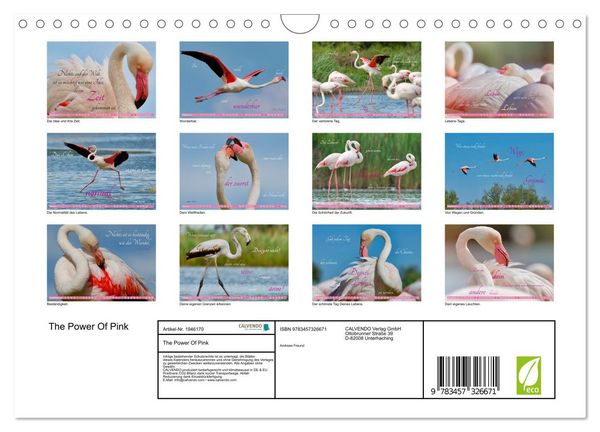 Produktbild: The Power Of Pink (Wandkalender 2026 DIN A4 quer), CALVENDO Monatskalender
