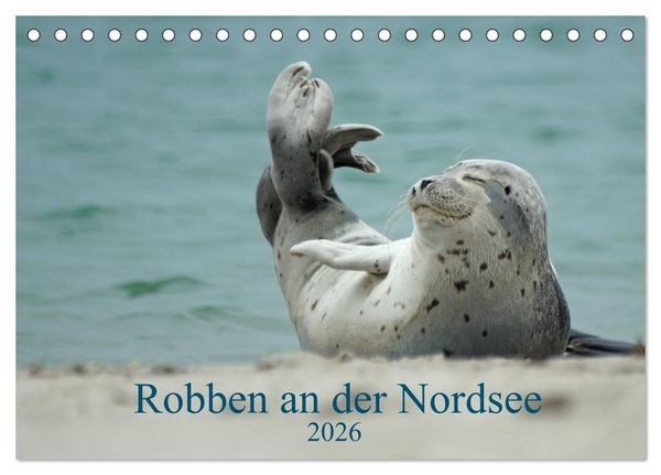 Produktbild: Robben an der Nordsee (Tischkalender 2026 DIN A5 quer), CALVENDO Monatskalender