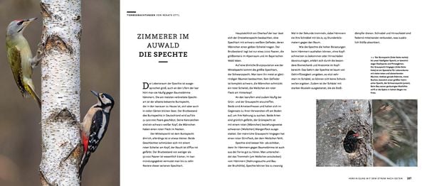 Produktbild: Wilde Isar