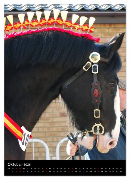 Produktbild: Shire Horse - Geschm&uuml;ckte Riesen (Wandkalender 2026 DIN A3 hoch), CALVENDO Monatskalender