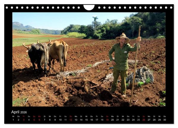 Produktbild: Viva Cuba! (Wandkalender 2026 DIN A4 quer), CALVENDO Monatskalender