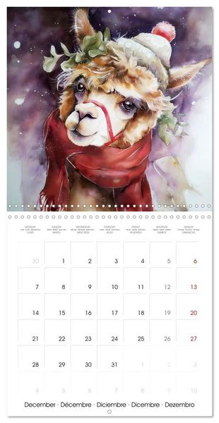 Produktbild: Alpagas du c&oelig;ur (Calendrier mural carr&eacute; 2026 30x30 cm) Calendrier double avec une page pour vos prises de notes