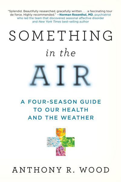 Produktbild: Something in the Air