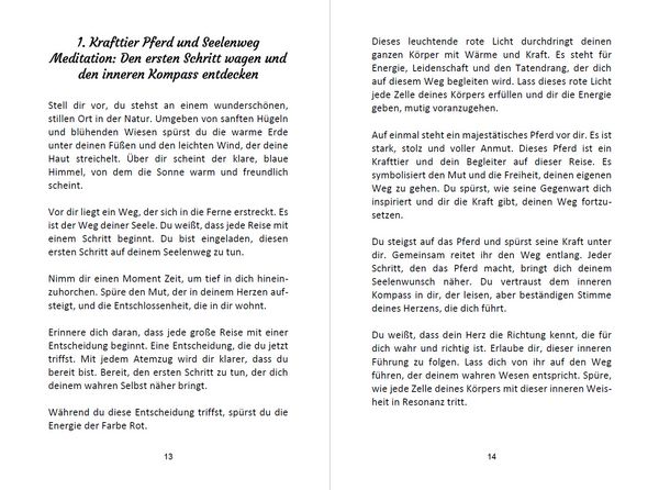 Produktbild: 52 Seelenweg und Krafttier Meditationen
