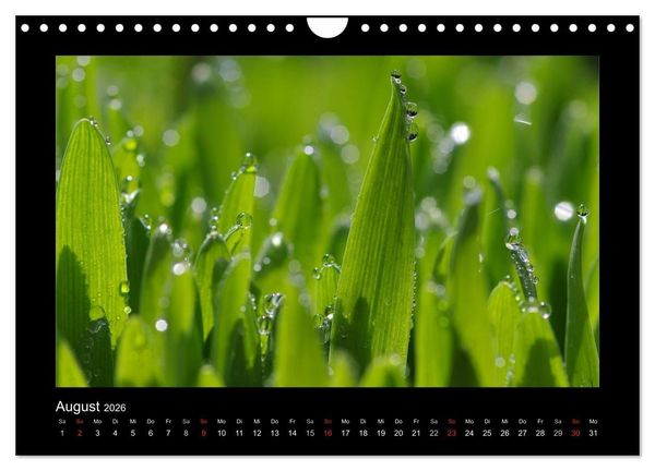 Produktbild: Meine kleine gr&uuml;ne Wassertropfen Welt (Wandkalender 2026 DIN A4 quer), CALVENDO Monatskalender
