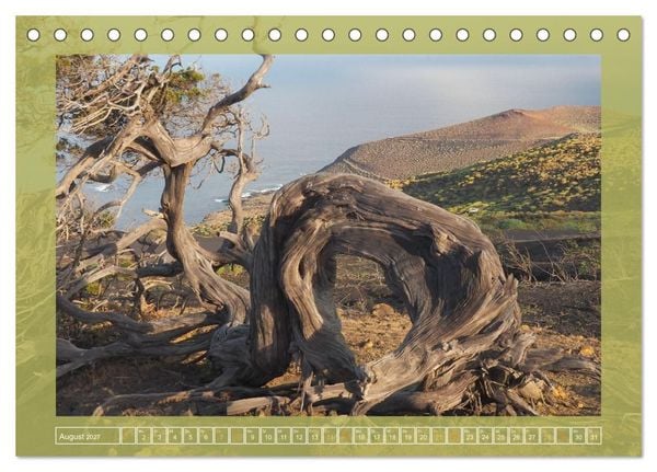 Produktbild: Wundersame Kanarenflora (Tischkalender 2027 DIN A5 quer), CALVENDO Monatskalender