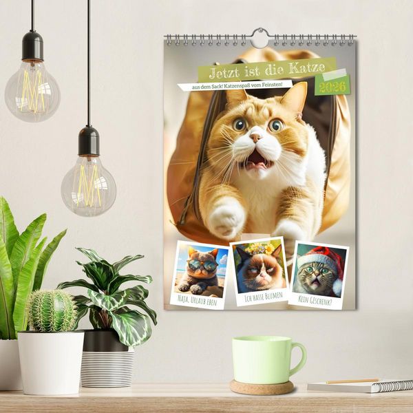 Produktbild: Jetzt ist die Katze aus dem Sack! Katzenspa&szlig; vom Feinsten! (Wandkalender 2026 DIN A4 hoch), CALVENDO Monatskalender
