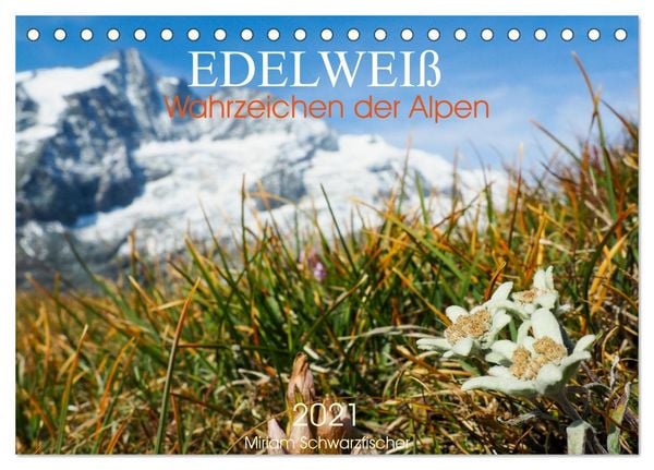Edelweiß - Wahrzeichen der Alpen (Tischkalender 2026 DIN A5 quer), CALVENDO Monatskalender