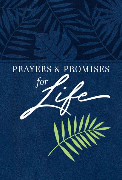 Produktbild: Prayers & Promises for Life