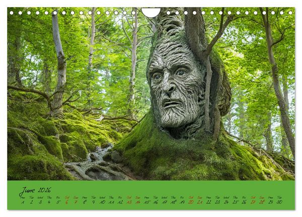 Produktbild: A strange forest In the lonely undergrowth (Wall Calendar 2026 DIN A4 landscape), CALVENDO 12 Month Wall Calendar
