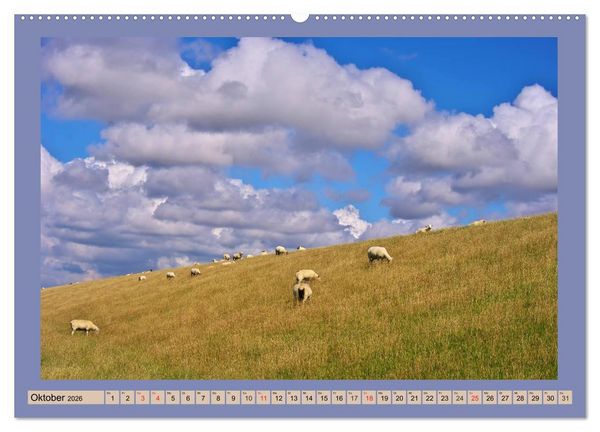 Produktbild: B&uuml;sum an der Nordsee (hochwertiger Premium Wandkalender 2026 DIN A2 quer), Kunstdruck in Hochglanz