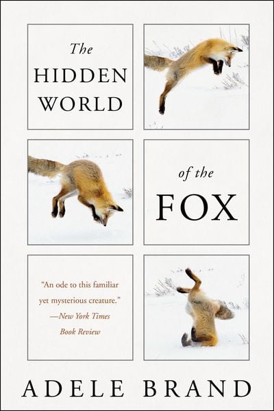 Produktbild: The Hidden World of the Fox