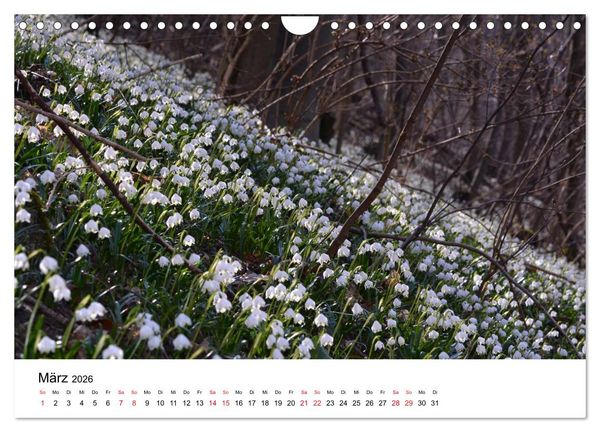 Produktbild: Zauberhafte Schw&auml;bische Alb (Wandkalender 2026 DIN A4 quer), CALVENDO Monatskalender