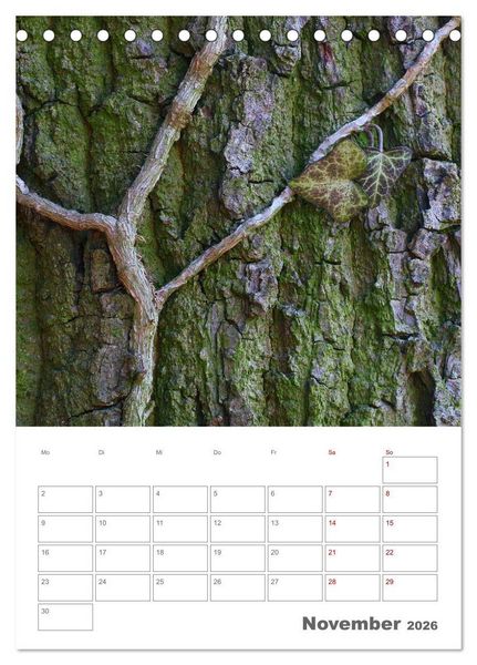 Produktbild: Planen mit dem Symbol der inneren St&auml;rke (Tischkalender 2026 DIN A5 hoch), CALVENDO Monatskalender