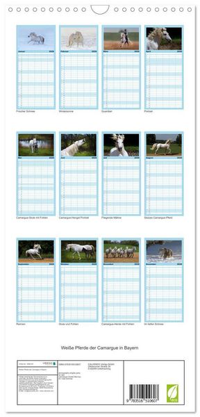 Produktbild: Familienplaner 2026 - Wei&szlig;e Pferde der Camargue in Bayern mit 5 Spalten (Wandkalender, 21 x 45 cm) CALVENDO