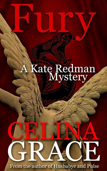 Produktbild: Fury (A Kate Redman Mystery: Book 11)