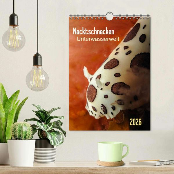 Produktbild: Nacktschnecken - Unterwasserwelt 2026 (Wandkalender 2026 DIN A4 hoch), CALVENDO Monatskalender