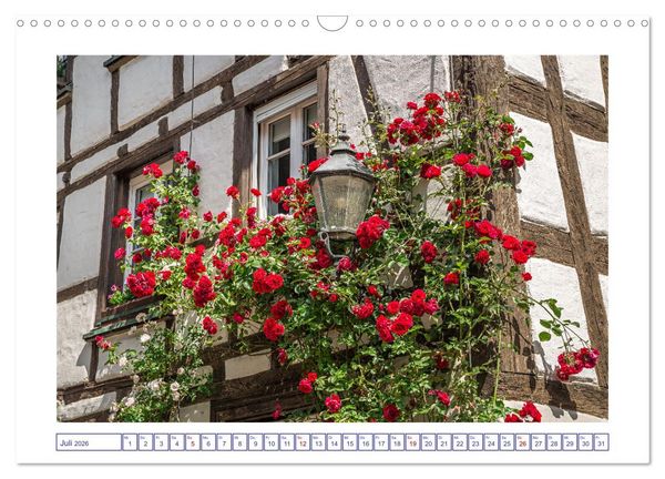 Produktbild: Radolfzell am sch&ouml;nen Bodensee (Wandkalender 2026 DIN A3 quer), CALVENDO Monatskalender
