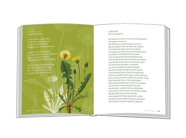 Produktbild: Mein Blumengl&uuml;ck