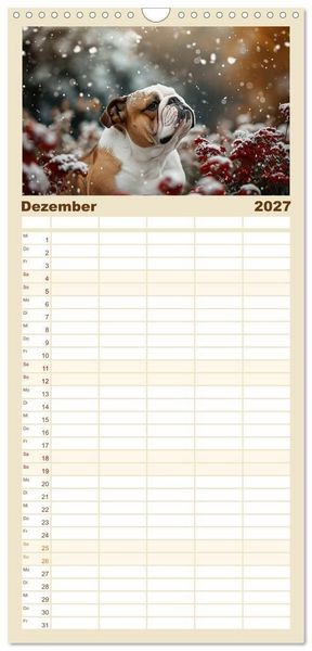 Produktbild: Familienplaner 2027 - Englische Bulldoggen im Bl&uuml;tenmeer mit 5 Spalten (Wandkalender, 21 x 45 cm) CALVENDO