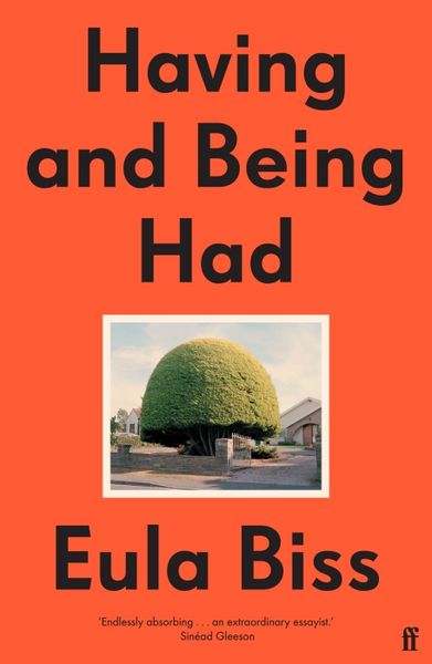 Produktbild: Having and Being Had