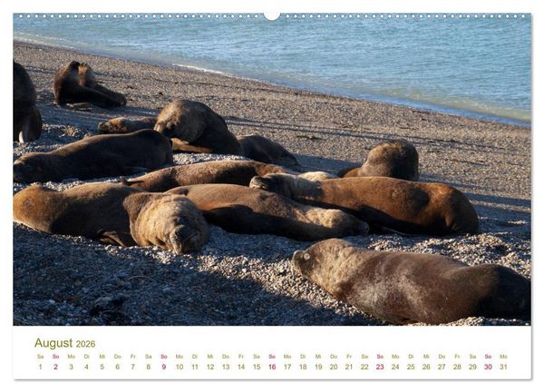 Produktbild: Weites Argentinien (hochwertiger Premium Wandkalender 2026 DIN A2 quer), Kunstdruck in Hochglanz