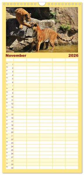 Produktbild: Familienplaner 2026 - Tiger mit 5 Spalten (Wandkalender, 21 x 45 cm) CALVENDO